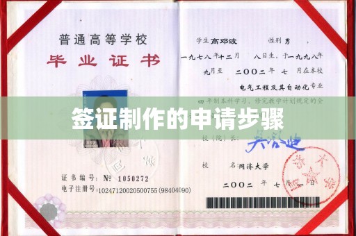 兴安盟签证制作的申请步骤